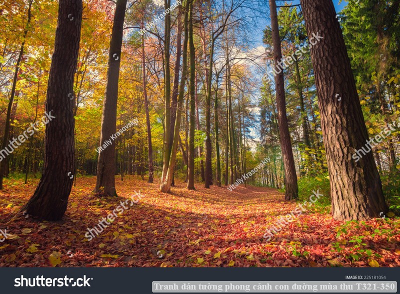 Tranh dán tường phong cảnh con đường mùa thu T321-350